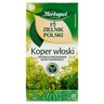 Herbapol Zielnik Polski Herbatka ziołowa koper włoski 36 g (20 x 1,8 g) stokrotka.pl