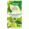 Herbapol Zielnik Polski Suplement diety herbatka ziołowa morwa biała 40 g (20 x 2 g) stokrotka.pl