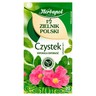 Herbapol Zielnik Polski Suplement diety herbatka ziołowa czystek 40 g (20 x 2 g) stokrotka.pl