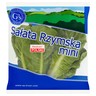 Sałata rzymska mini 2 szt.