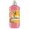 Coccolino Honeysuckle & Sandalwood Płyn do płukania tkanin koncentrat 1450 ml (58 prań) stokrotka.pl