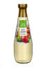 Ocet jabłkowy 300ml Delito