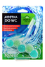 Kostka do WC forest 50g Home Excellent