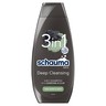 Schauma Men Deep Cleansing Szampon do włosów twarzy i ciała dla mężczyzn z węglem i glinką 400 ml stokrotka.pl
