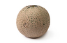 Melon Cantaloupe