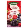 Herbapol Herbaciany Ogród Herbatka owocowo-ziołowa prosto z lasu 50 g (20 x 2,5 g) stokrotka.pl