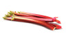 Rabarbar 500 g