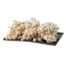 Grzyby Shimeji Białe 150 g