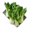 Kapusta Pak Choi 2 szt.