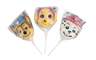 MaxCo lizak piankowy Paw Patrol 45G