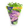 Plant Love Bazylia XL