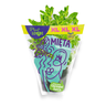 Plant Love Mięta świeża XL